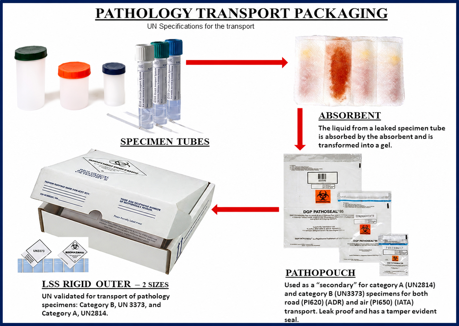 Pathology transport packaging diagram: Specimen Tubes, Absorbent material, Pathopouch secondary packaging, and LSS Rigid Outer box, with red arrows showing the packaging flow.